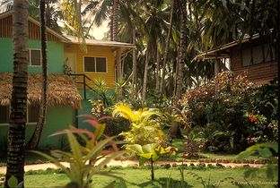Hotel Casa Robinson Garden
